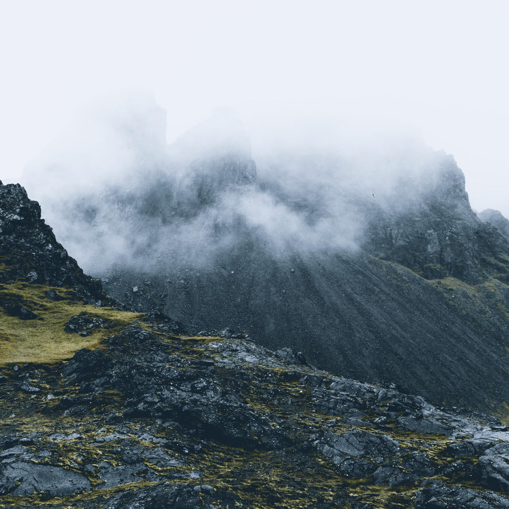 ORGANIC ELEMENTS – Arthrose-Bundle mit Vitamin C, MSM, Omega 3, Zink und Vitamin D3